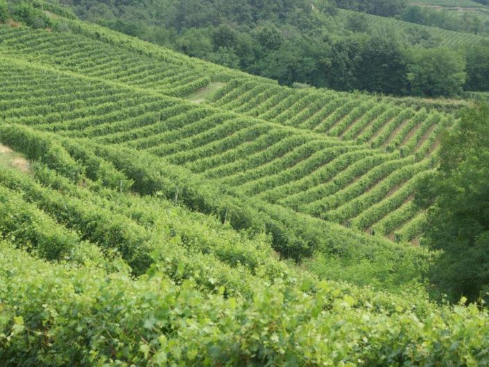 Cascina In Alto Piemonte / Piedmont Countryhouse Lozzolo Kültér fotó
